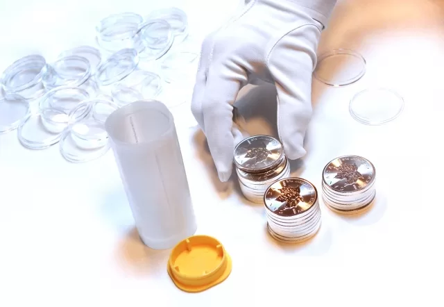 コインを正しく磨く方法を知ろう