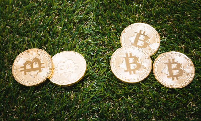 100円玉の価値のある年号とは？