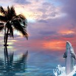 ラッセンが描く絵画の魅力とは？高価買取できるポイントを解説